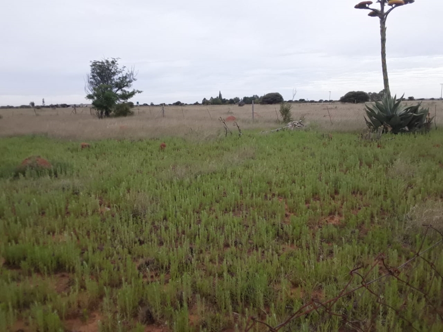  Bedroom Property for Sale in Bloemhof North West